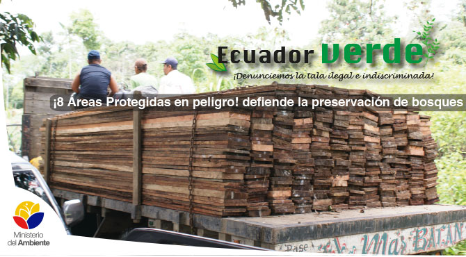 Ecuador verde ¡Denunciemos la tala ilegal e indiscriminada! – Ministerio  del Ambiente, Agua y Transición Ecológica