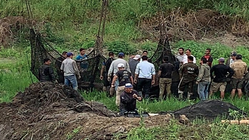 Elefante Marino Del Sur Regreso A Su Habitat Natural Ministerio